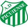 Picuiense